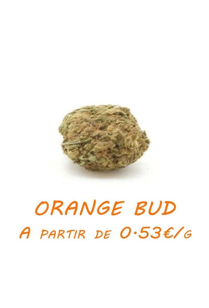 Orange-Bud-GreenHouse-grossiste-fleurs-cbd-pas-cher