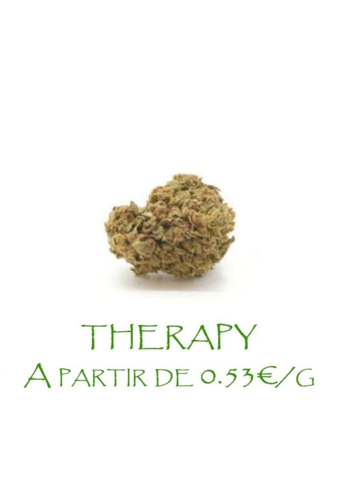 Therapy-GreenHouse-grossiste-fleurs-cbd-pas-cher