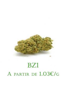 BZ1-GreenHouse-grossiste-fleurs-cbd-pas-cher
