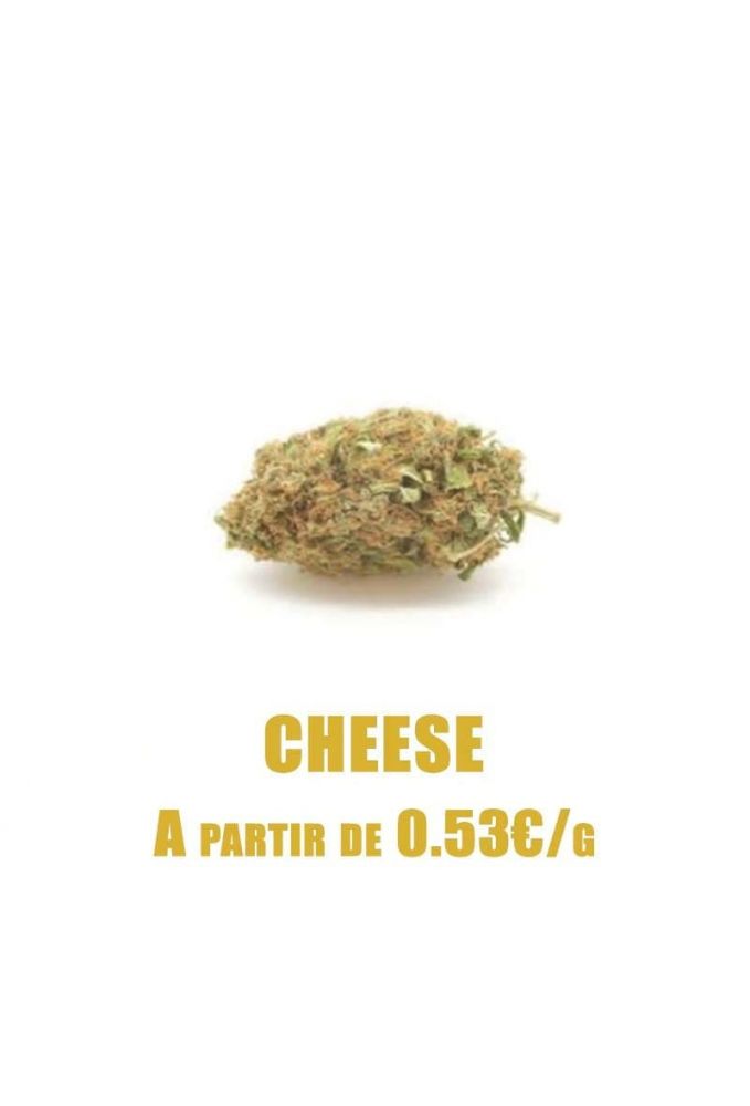 Cheese-GreenHouse-grossiste-fleurs-cbd-pas-cher
