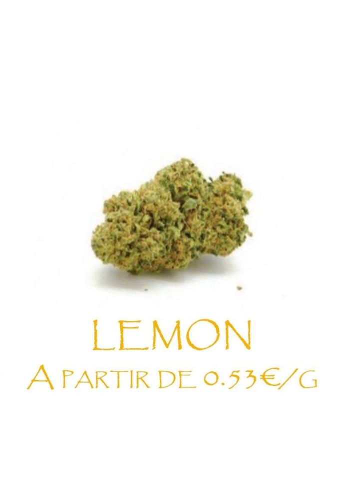 Lemon-GreenHouse-grossiste-fleurs-cbd-pas-cher