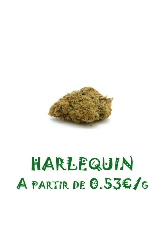 Harlequin-GreenHouse-grossiste-fleurs-cbd-pas-cher