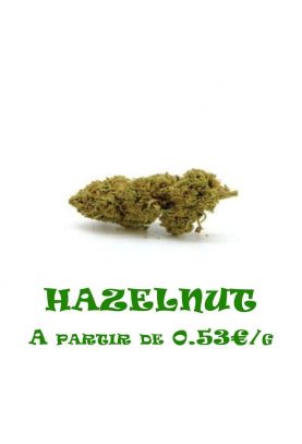 Hazelnut-GreenHouse-grossiste-fleurs-cbd-pas-cher