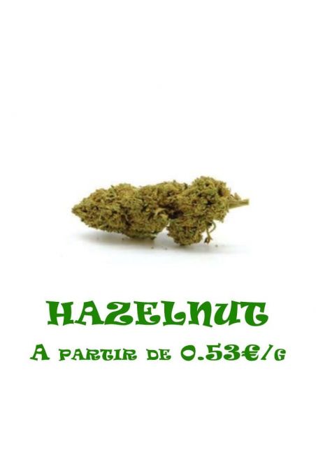 Hazelnut-GreenHouse-grossiste-fleurs-cbd-pas-cher