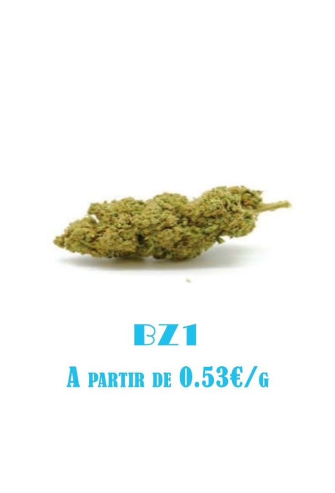 BZ1-GlassHouse-grossiste-fleurs-cbd-pas-cher