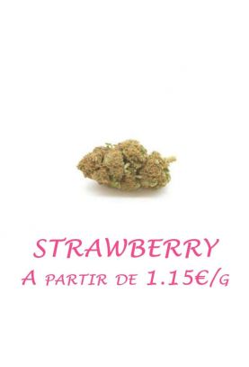 Strawberry-GlassHouse-grossiste-fleurs-cbd-pas-cher