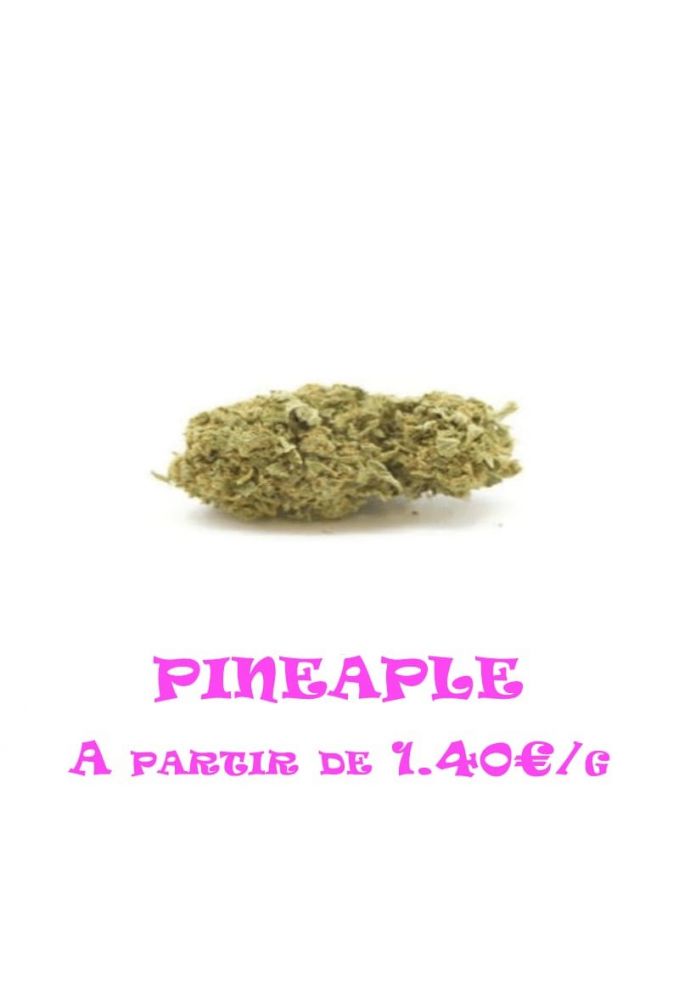 Pineaple-Indoor-grossiste-fleurs-cbd-pas-cher