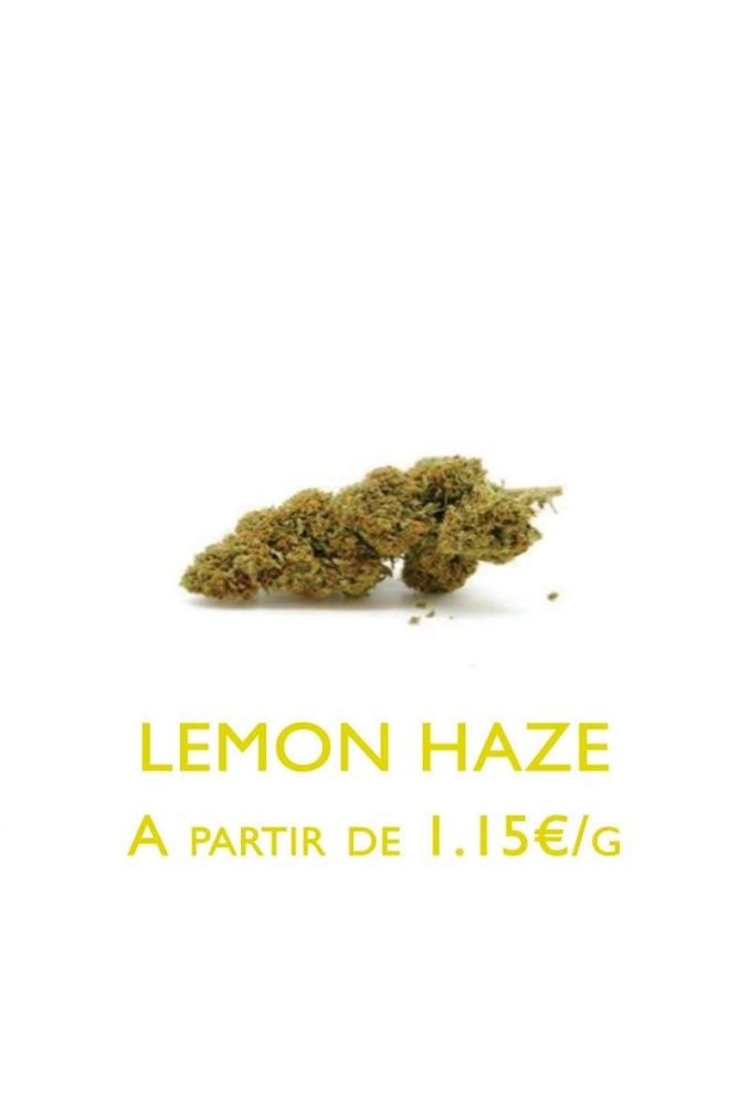 Lemon-Haze-Indoor-grossiste-fleurs-cbd-pas-cher