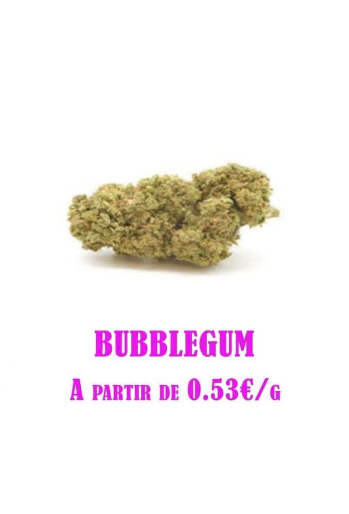Bubblegum-GreenHouse-grossiste-fleurs-cbd-pas-cher