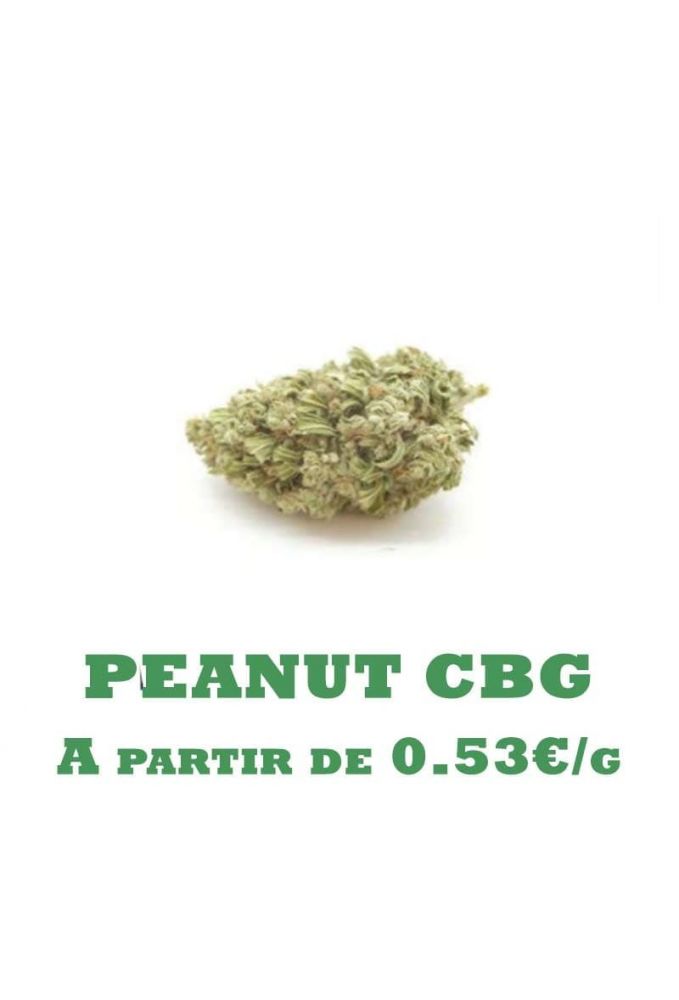 Peanut-CBG-GreenHouse-grossiste-fleurs-cbd-pas-cher