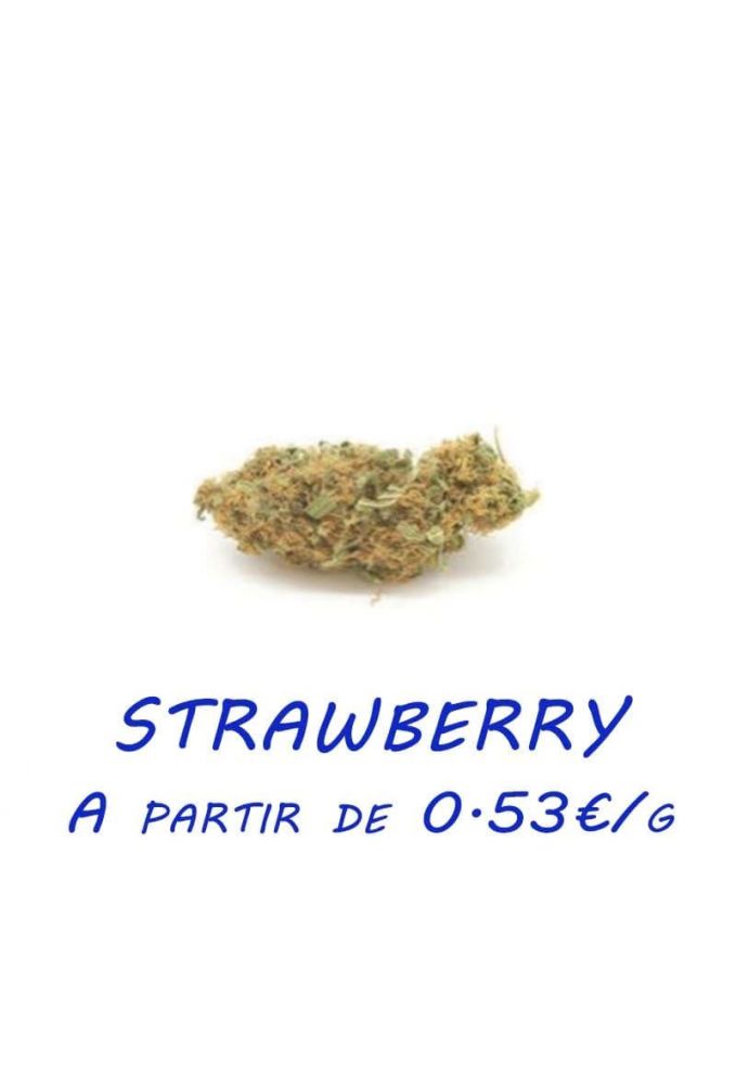 Strawberry-GreenHouse-grossiste-fleurs-cbd-pas-cher
