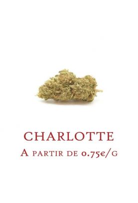 Charlotte-GlassHouse-grossiste-fleurs-cbd-pas-cher