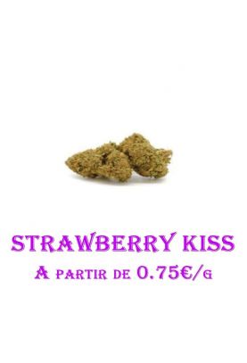 Strawberry-Kiss-GlassHouse-grossiste-fleurs-cbd-pas-cher