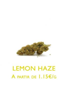 Lemon-Haze-Indoor-grossiste-fleurs-cbd-pas-cher