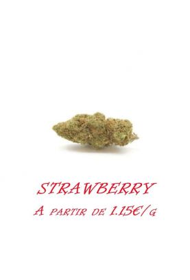 Strawberry-Indoor-grossiste-fleurs-cbd-pas-cher