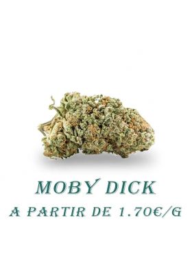 Moby-dick-Indoor-grossiste-fleurs-cbd-pas-cher
