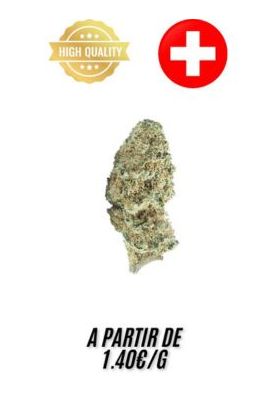 Banana-Kush-Indoor-grossiste-fleurs-cbd-pas-cher