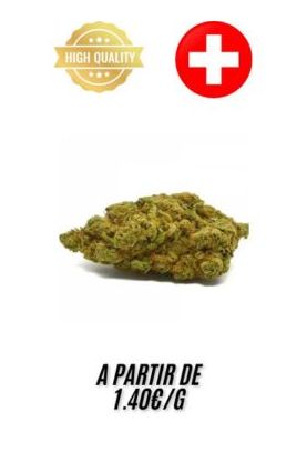 Cannabubble-Indoor-grossiste-fleurs-cbd-pas-cher