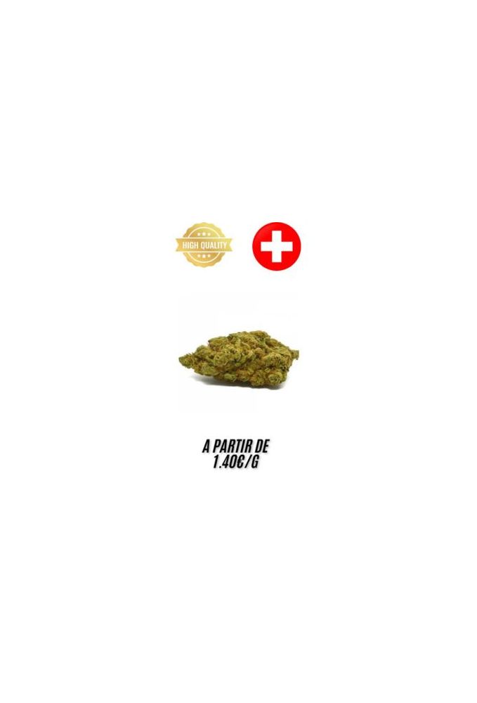 Cannabubble-Indoor-grossiste-fleurs-cbd-pas-cher