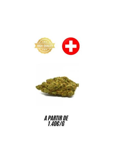 Cannabubble-Indoor-grossiste-fleurs-cbd-pas-cher