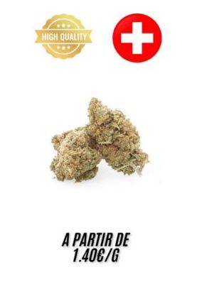 Pineapple-Indoor-grossiste-fleurs-cbd-pas-cher