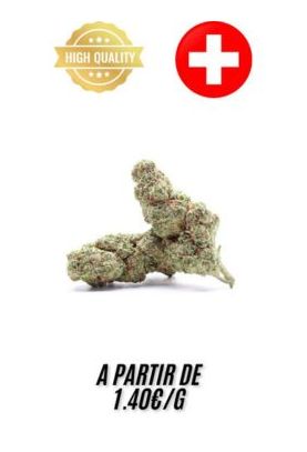 White Widow-Indoor-grossiste-fleurs-cbd-pas-cher