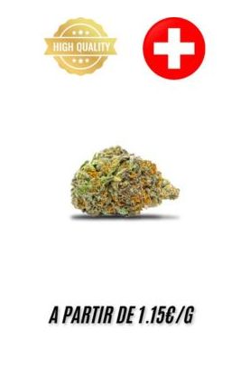 Lemon-Haze-Indoor-grossiste-fleurs-cbd-pas-cher